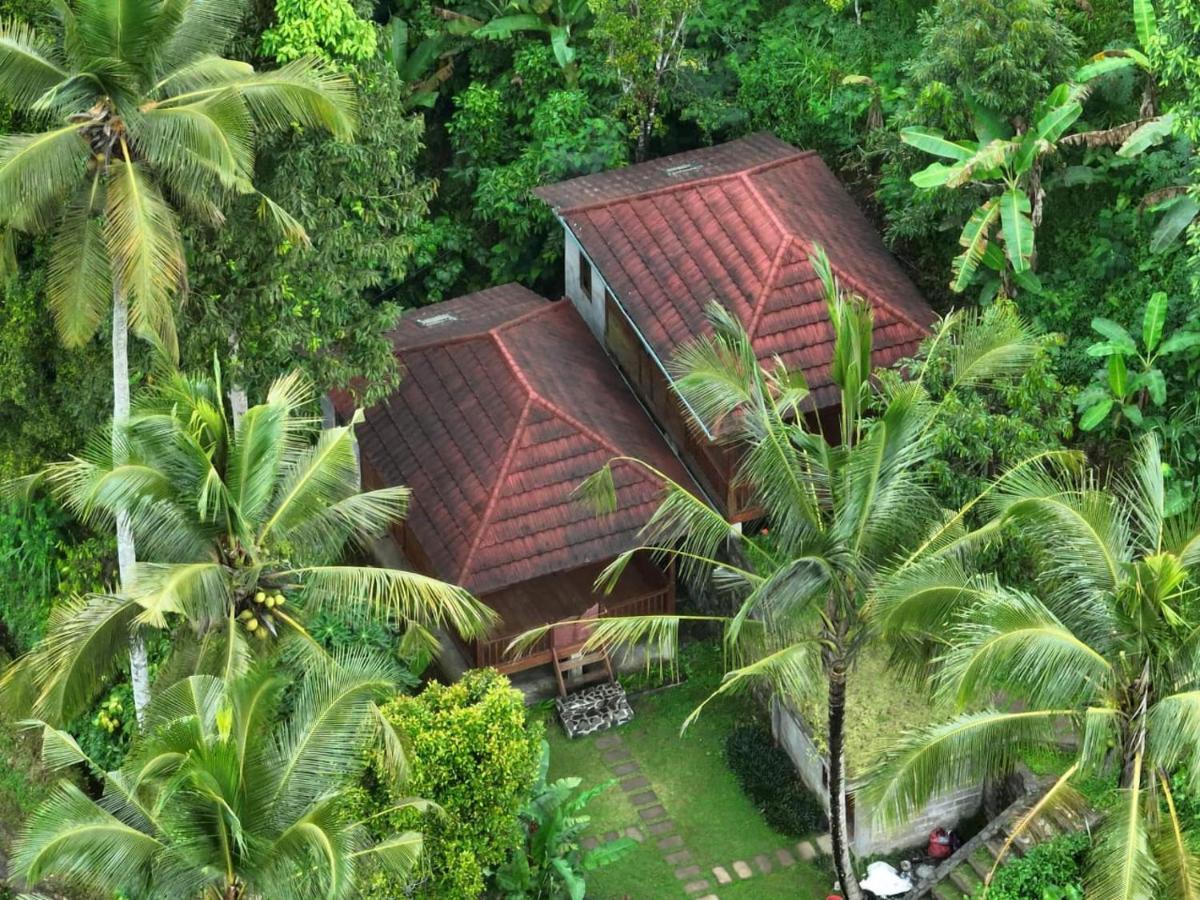 Uma d'Nyuh Homestay Singaraja  Bagian luar foto