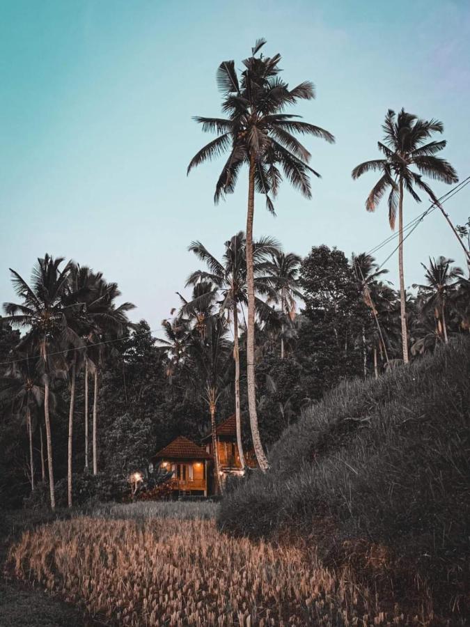 Uma d'Nyuh Homestay Singaraja  Bagian luar foto