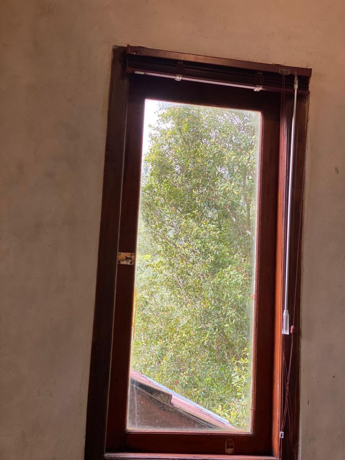Uma d'Nyuh Homestay Singaraja  Bagian luar foto