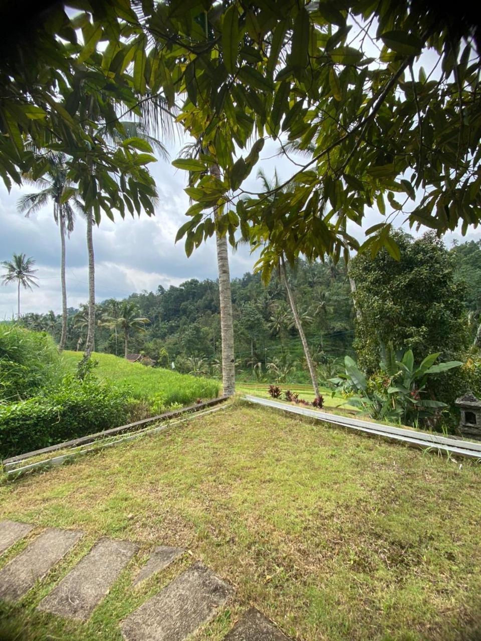 Uma d'Nyuh Homestay Singaraja  Bagian luar foto