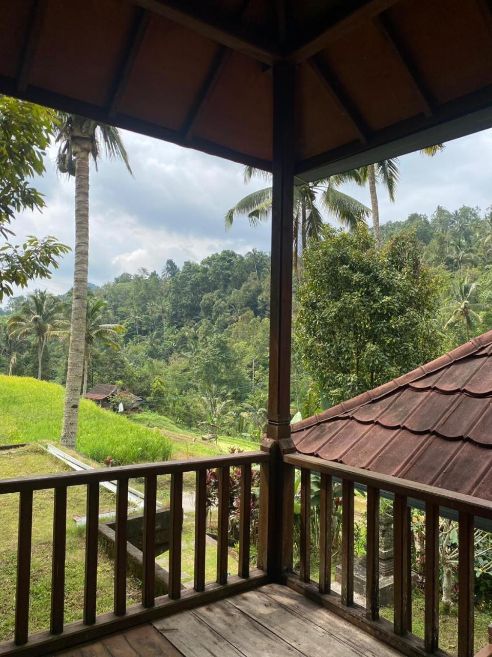 Uma d'Nyuh Homestay Singaraja  Bagian luar foto